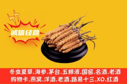 惠安县回收冬虫夏草